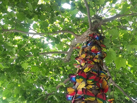 tu bishvat 2019