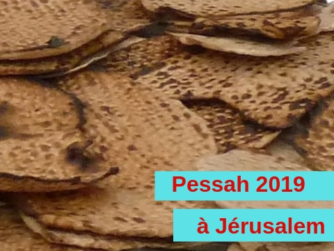pessah 2019