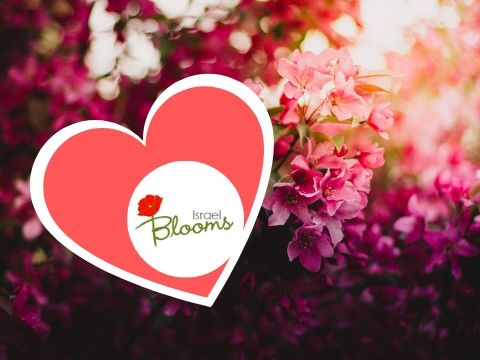 israel blooms