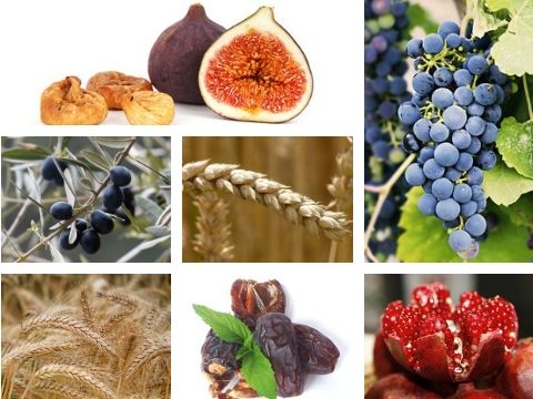 tu bishvat 2020