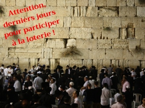selihot 2020 loterie
