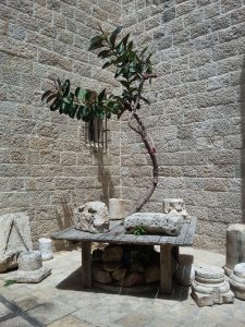 arbre 2