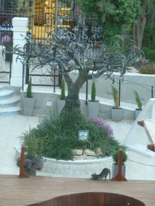 arbre 3