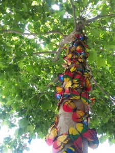 arbre 5