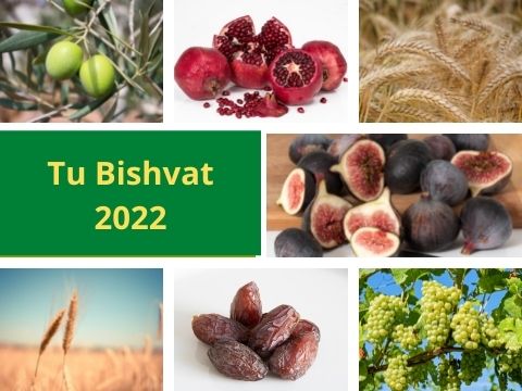 Tu Bishvat 2022