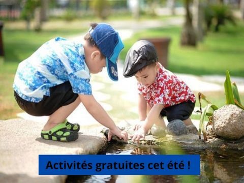 activités 2022