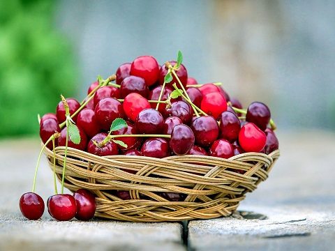 cerises 2023
