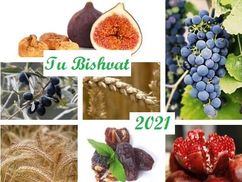 tu bishvat 2021